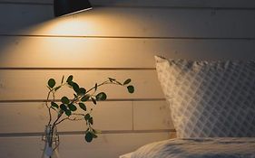 Willa Rauha E, minikoti saunalla, iso parkkialue